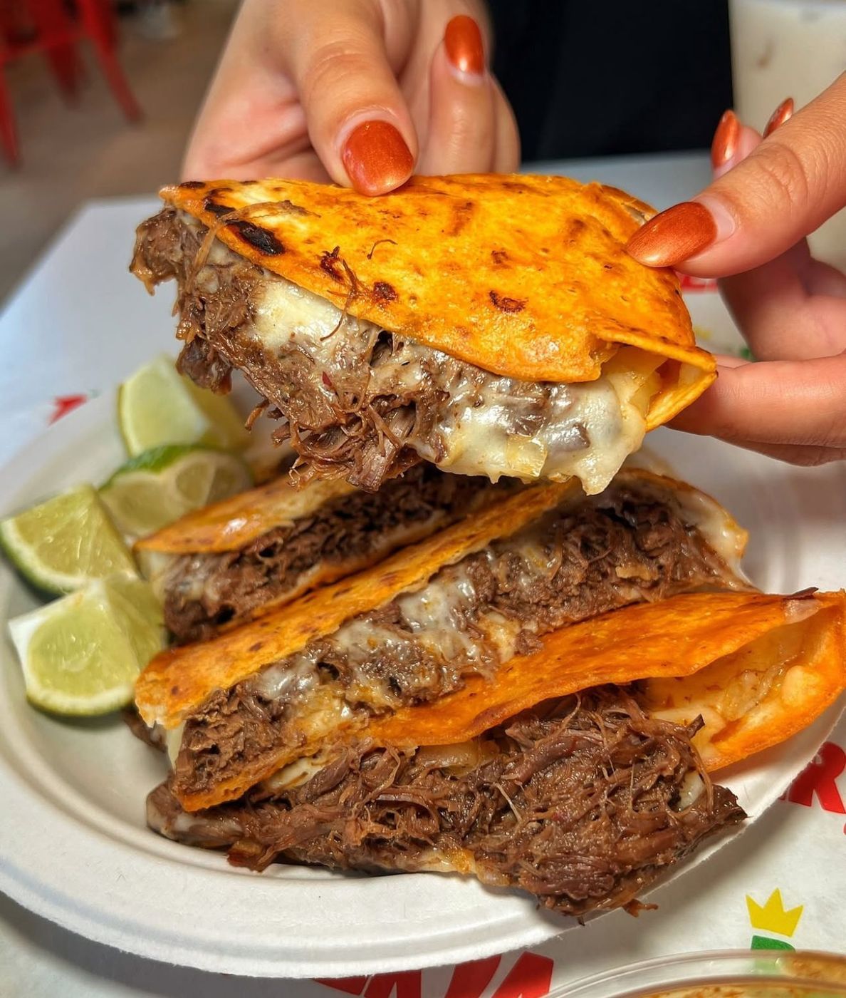 Birria Quesadilla
