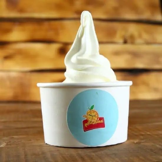 Vanilla ICE CREAM TINY