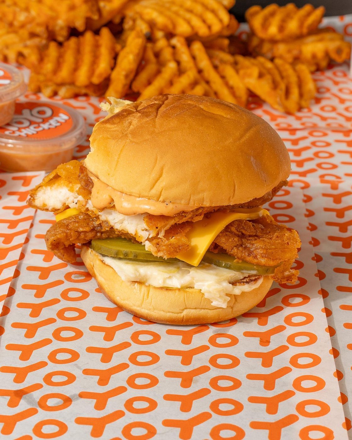 YoYo Fish Sandwich Combo