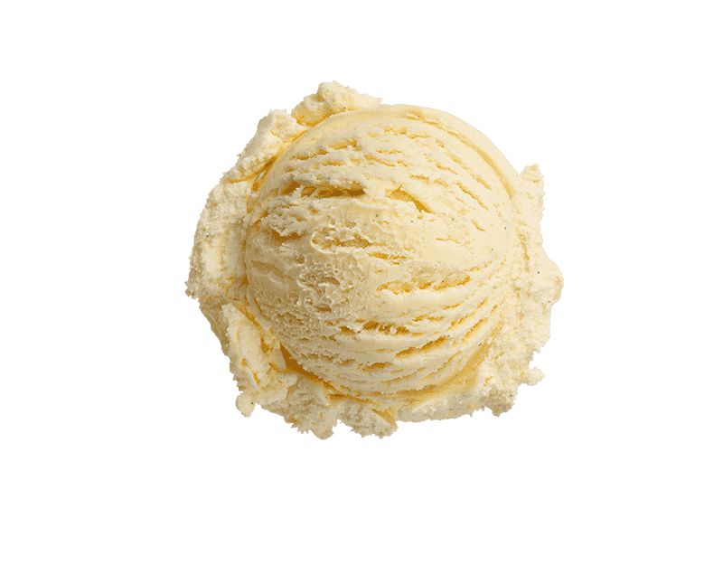 Scoop of Vanilla Ice Cream