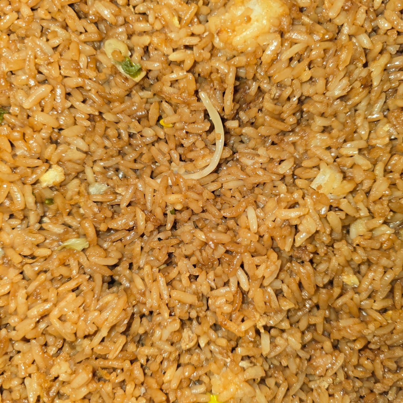 FRIED RICE